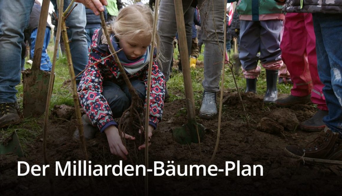 The Billion Tree Plan