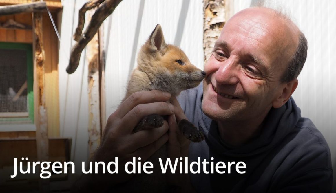 Jürgen und die Wildtiere