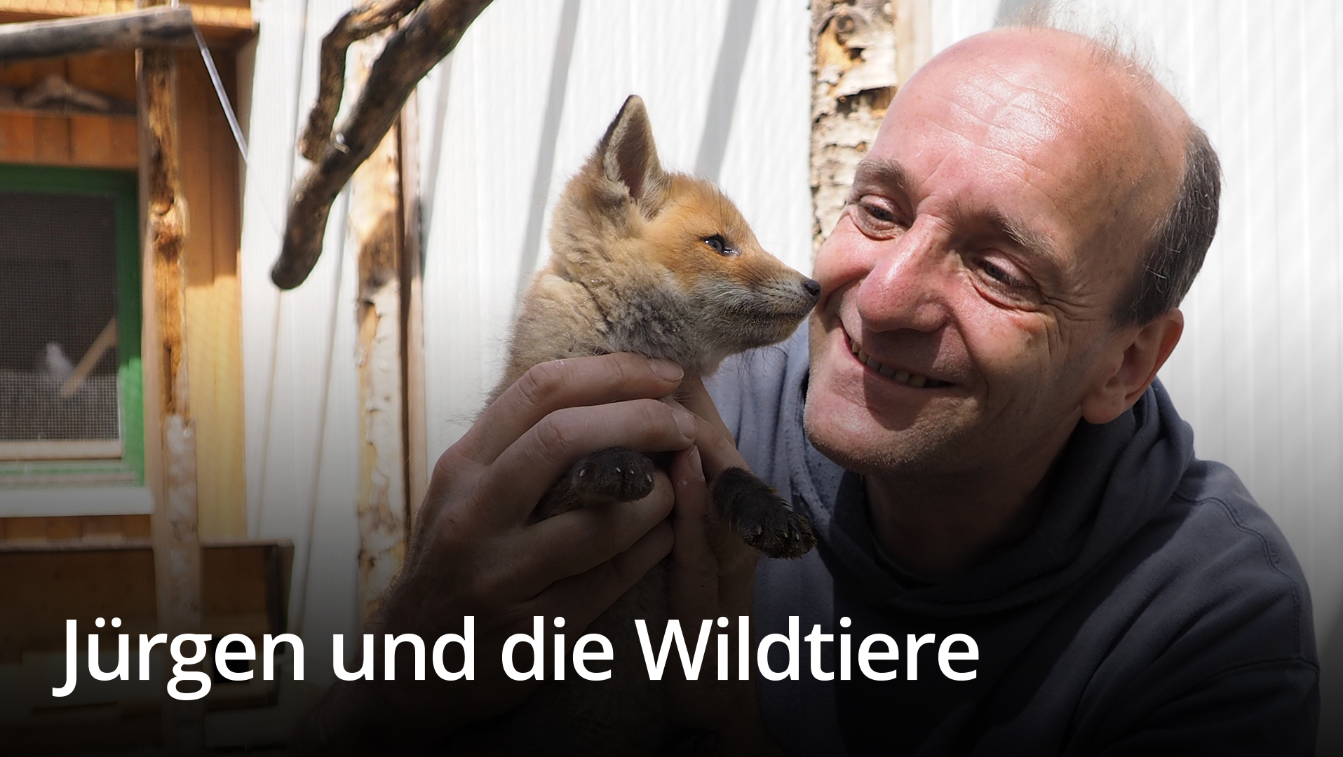 Jürgen und die Wildtiere