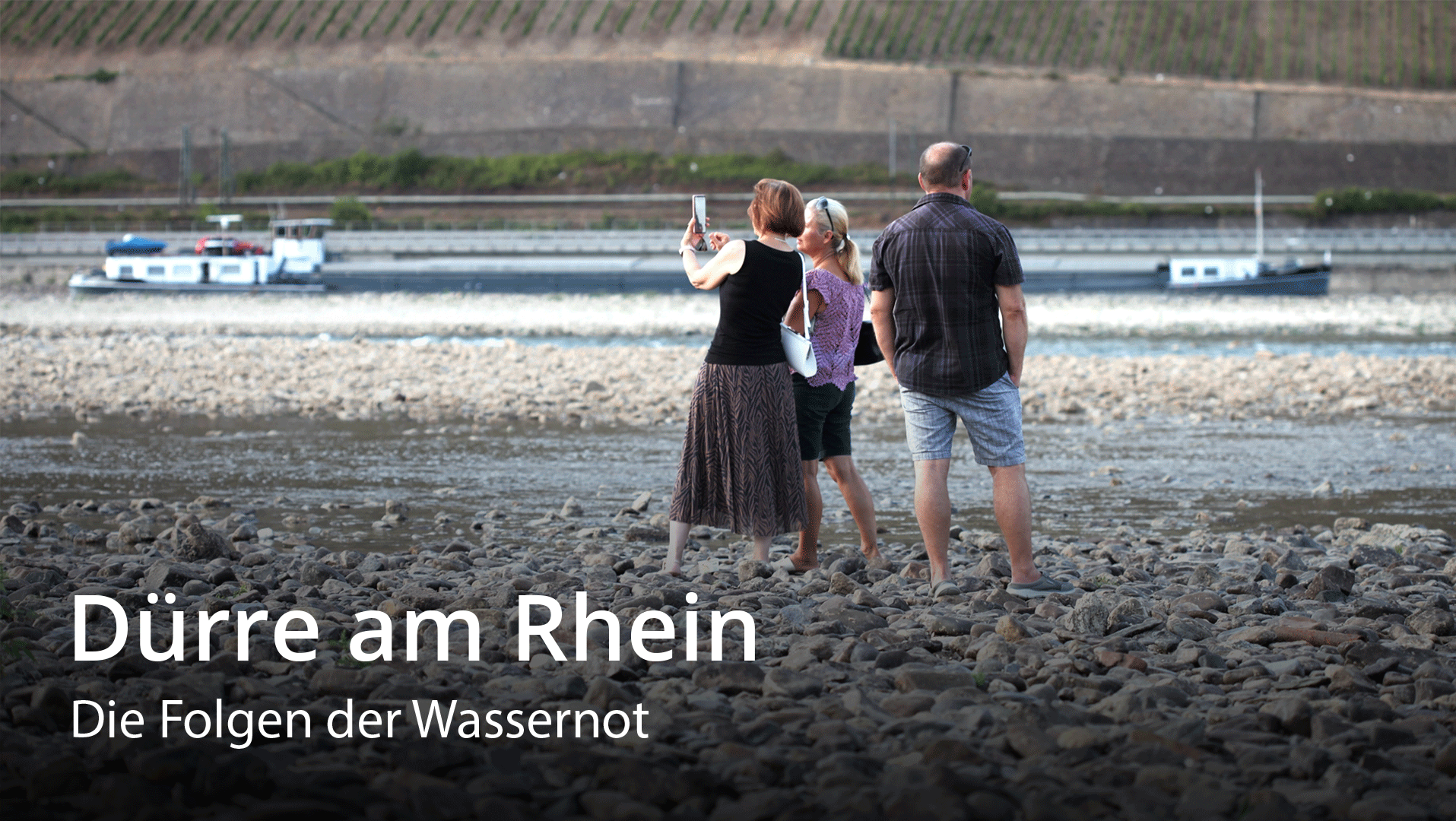 Drought hits Rhine river