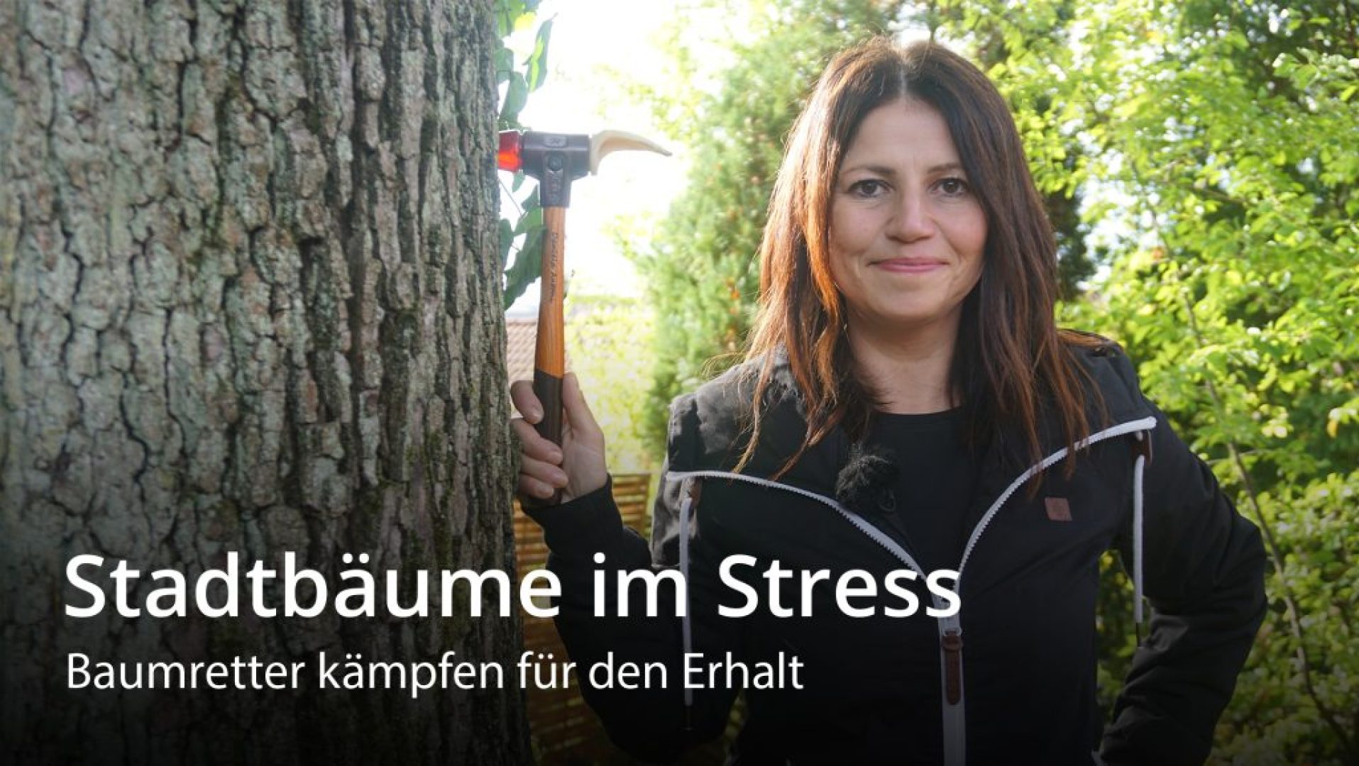 Urban trees under stress